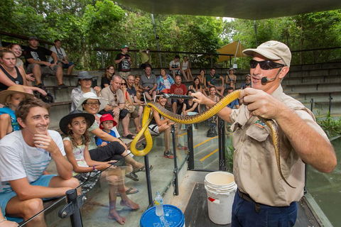 Hartley's Crocodile Adventures Breakfast With The Koalas - Accommodation Mooloolaba 3
