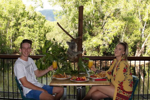 Hartley's Crocodile Adventures Breakfast With The Koalas - Accommodation Mooloolaba 5