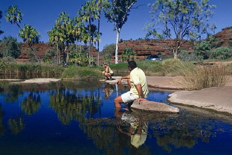 Palm Valley 4WD Day Tour - Accommodation Mooloolaba 1