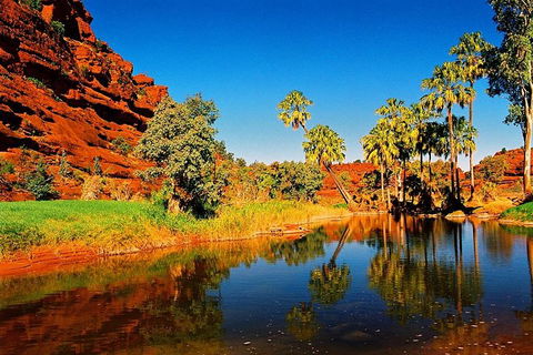 Palm Valley 4WD Day Tour - Accommodation Mooloolaba 2