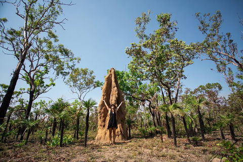Litchfield National Park - Top End Day Tour From Darwin - Accommodation Mooloolaba 5