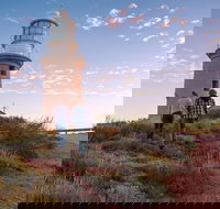 6-Day Coral Coaster from Perth to Exmouth One-Way via Monkey Mia Ningaloo Reef - Accommodation Mooloolaba