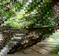 12 Apostles Eco-Friendly Great Ocean Road Iconic Adventure from Melbourne - Accommodation Mooloolaba