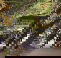 Adelaide Highlights Hahndorf  McLaren Vale Wine Tasting and Sightseeing Tour - Accommodation Mooloolaba