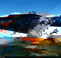 Express Jet Boat Ride  Aquaduck - Accommodation Mooloolaba