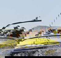 30-minute Jet Blast Express Ride - Accommodation Mooloolaba