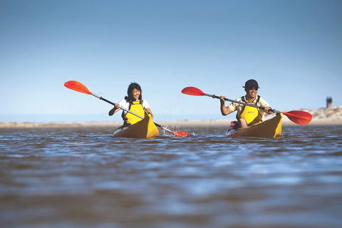 Kangaroo Island Self-Guided Kayaking On The Harriet River - Accommodation Mooloolaba 2