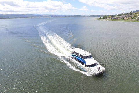 2.50 Hour Afternoon Discovery Cruise Including Cataract Gorge Departing At 3 Pm - Accommodation Mooloolaba 0