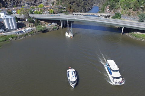2.50 Hour Afternoon Discovery Cruise Including Cataract Gorge Departing At 3 Pm - Accommodation Mooloolaba 3