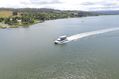 2.50 Hour Afternoon Discovery Cruise Including Cataract Gorge Departing At 3 Pm - Accommodation Mooloolaba 4