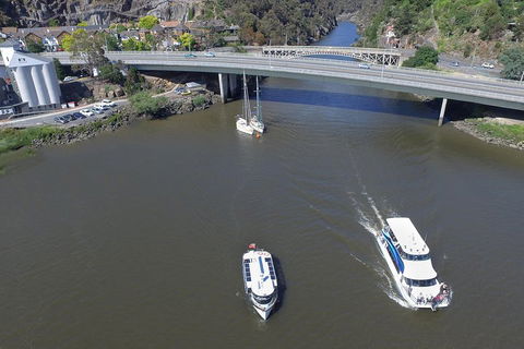 2.50 Hour Afternoon Discovery Cruise Including Cataract Gorge Departing At 3 Pm - Accommodation Mooloolaba 5