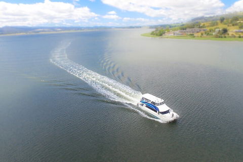 2.5 Hour Afternoon Discovery Cruise Including Cataract Gorge Departs At 1: 30 Pm - Accommodation Mooloolaba 0