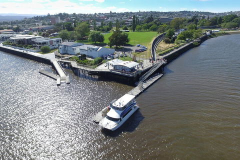 2.5 Hour Afternoon Discovery Cruise Including Cataract Gorge Departs At 1: 30 Pm - Accommodation Mooloolaba 3