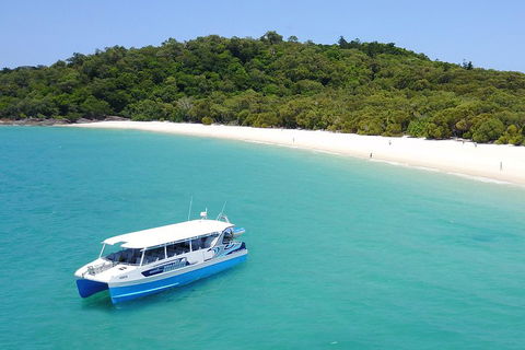 Whitsunday Bullet Day Trip - Whitehaven Beach And Snorkelling - Accommodation Mooloolaba 0