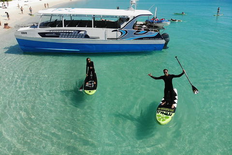 Whitsunday Bullet Day Trip - Whitehaven Beach And Snorkelling - Accommodation Mooloolaba 4