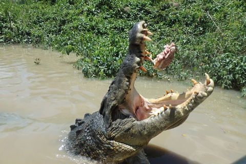 Litchfield And Jumping Crocodiles Full Day Trip From Darwin - Accommodation Mooloolaba 3