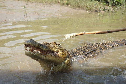 Litchfield And Jumping Crocodiles Full Day Trip From Darwin - Accommodation Mooloolaba 4