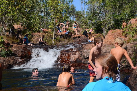 Litchfield And Jumping Crocodiles Full Day Trip From Darwin - Accommodation Mooloolaba 5