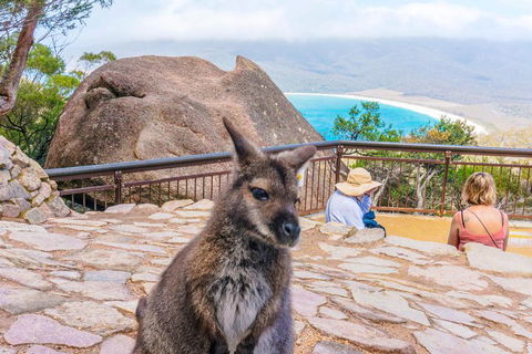 Wineglass Bay & Freycinet NP Full Day Tour From Hobart Via Richmond Village - Accommodation Mooloolaba 0
