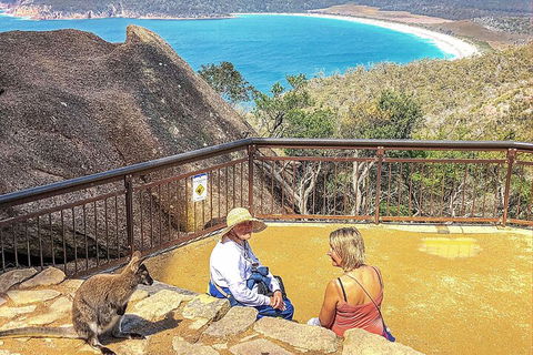 Wineglass Bay & Freycinet NP Full Day Tour From Hobart Via Richmond Village - Accommodation Mooloolaba 1