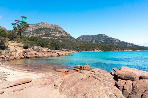 Wineglass Bay & Freycinet NP Full Day Tour From Hobart Via Richmond Village - Accommodation Mooloolaba 5