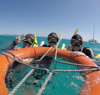 Full-Day Great Barrier Reef Sailing Trip - Accommodation Mooloolaba
