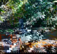 Aquaduck  Your choice of Gold Coast Rainforest Tour - Accommodation Mooloolaba