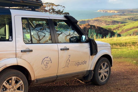 Kangaroo Island 4WD Tour - Best Of KI In 2 Days - Accommodation Mooloolaba 4