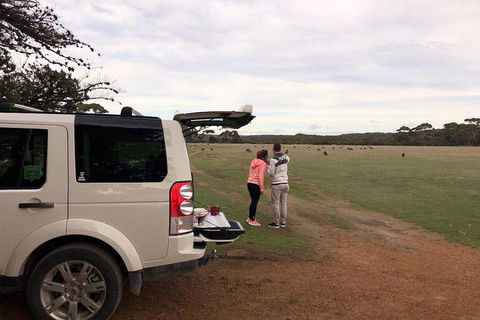 Kangaroo Island 4WD Tour - Flinders Chase - Accommodation Mooloolaba 3