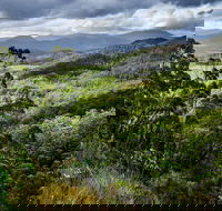 3-Day Tour to the Falls Mountains Lake  More of West Coast Tasmania - Accommodation Mooloolaba