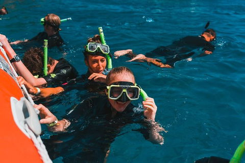 Whitehaven Beach And Hill Inlet Lookout Full-Day Snorkeling Cruise By High-Speed Catamaran - Accommodation Mooloolaba 3