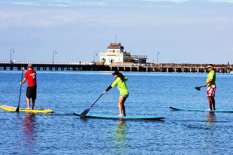 Private Stand-Up Paddle Board Lesson At St Kilda - Accommodation Mooloolaba 1