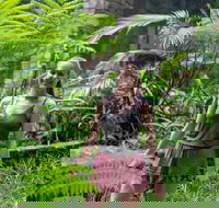 Full-Day Guided Hinterland Adventure Tour in Queensland - Accommodation Mooloolaba