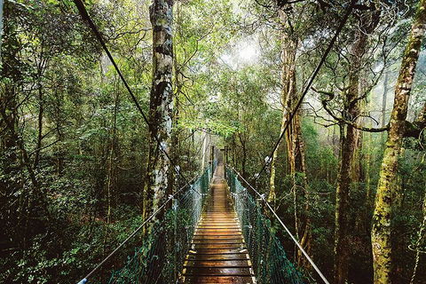 O'Reilly's & Lamington National Park From Gold Coast - Accommodation Mooloolaba 0