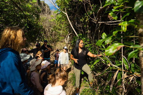 Cape Byron Aboriginal Tour - Accommodation Mooloolaba 4