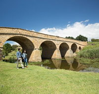 Bonorong Wildlife Park and Richmond Afternoon Tour from Hobart - Accommodation Mooloolaba