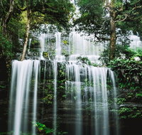 Mt Field National Park and Russell Falls from Hobart - Accommodation Mooloolaba
