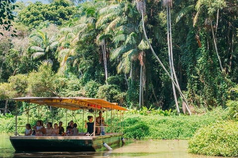 Tropical Fruit World Farm Full Tour - Accommodation Mooloolaba 0