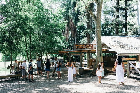 Tropical Fruit World Farm Full Tour - Accommodation Mooloolaba 3