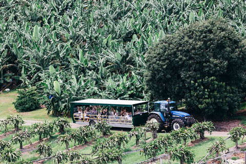Tropical Fruit World Farm Full Tour - Accommodation Mooloolaba 5