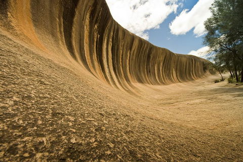 Wave Rock, York, Wildflowers, And Aboriginal Cultural Day Tour From Perth - Accommodation Mooloolaba 0
