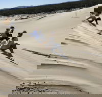 Port Stephens Bush Beach and Sand Dune 4WD Tag-Along Tour - Accommodation Mooloolaba