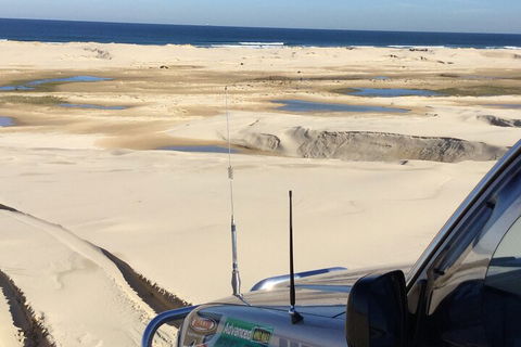 Port Stephens Bush, Beach And Sand Dune 4WD Passenger Tour - Accommodation Mooloolaba 5