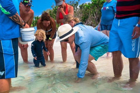 Whitehaven Beach And Hamilton Island Cruise - Accommodation Mooloolaba 1