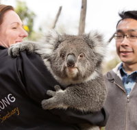 Bonorong Wildlife Park and Richmond Afternoon Tour from Hobart - Accommodation Mooloolaba