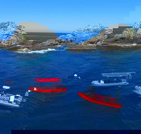 3-Hour Byron Bay Certified Scuba Diving Tour - Accommodation Mooloolaba