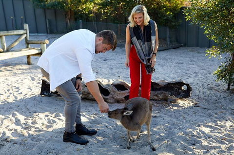 Albany's Whale Story - Accommodation Mooloolaba 1