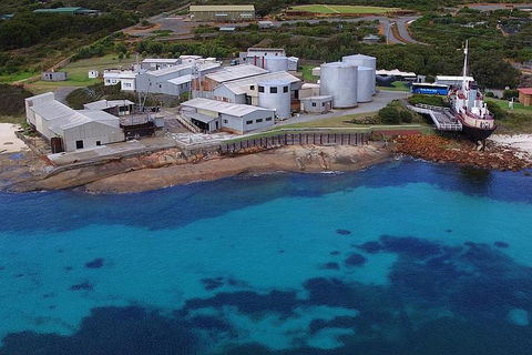 Albany's Whale Story - Accommodation Mooloolaba 4
