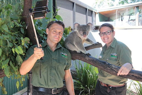 Virtual Interactive Australian Wildlife Tour With Private Guide-Wildlife Habitat - Accommodation Mooloolaba 0