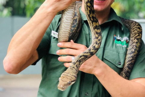 Virtual Interactive Australian Wildlife Tour With Private Guide-Wildlife Habitat - Accommodation Mooloolaba 1